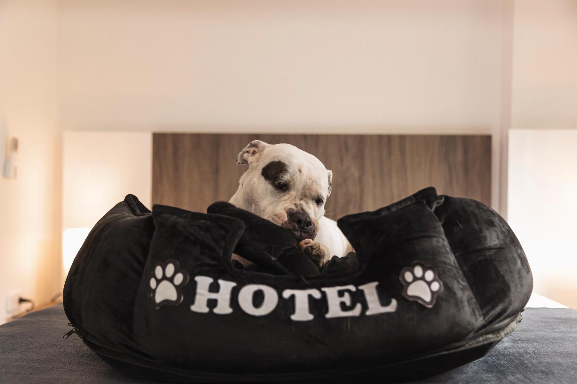 Hotel Boutique Bussines Center Cali Luaran gambar