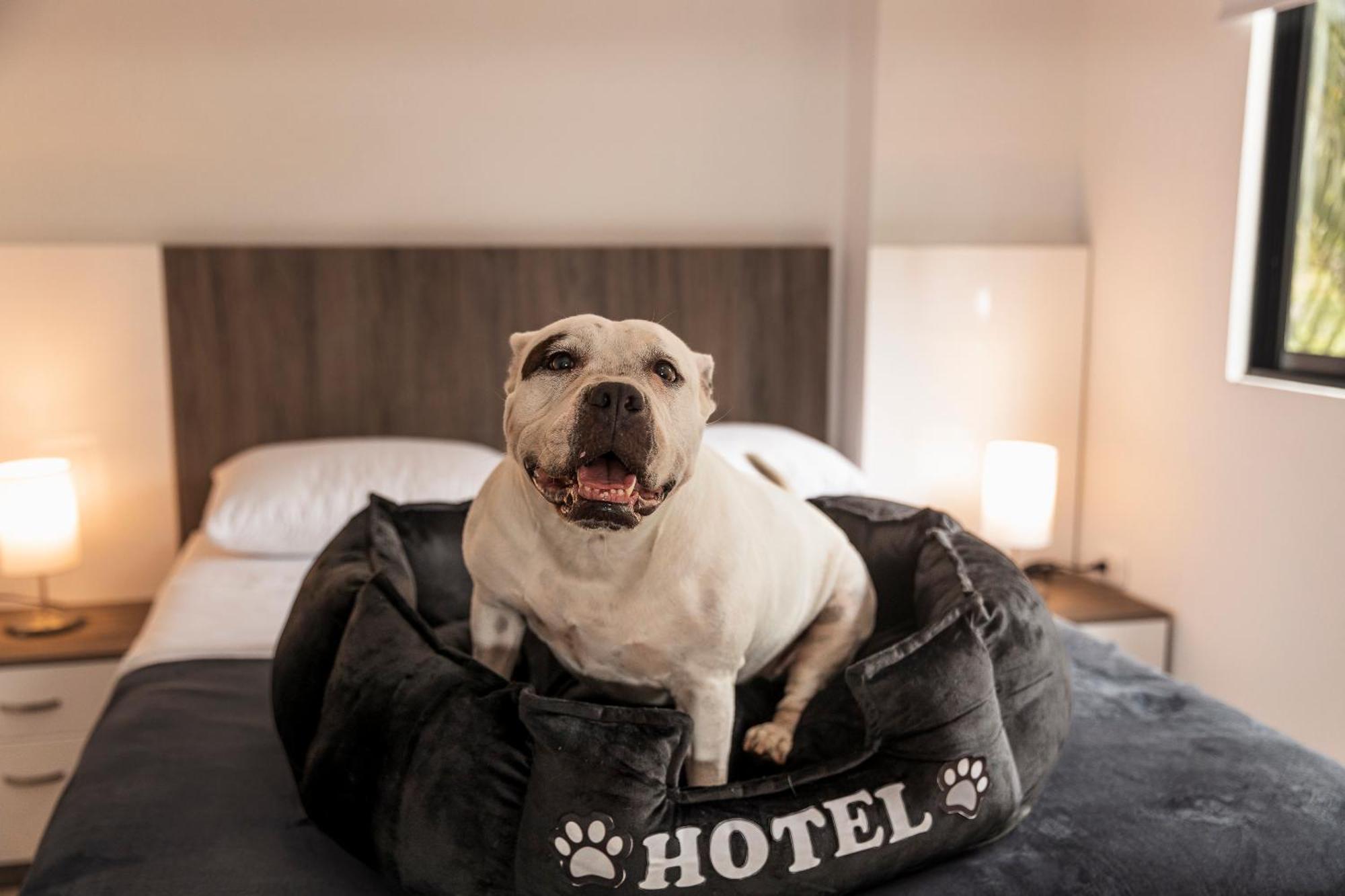 Hotel Boutique Bussines Center Cali Luaran gambar